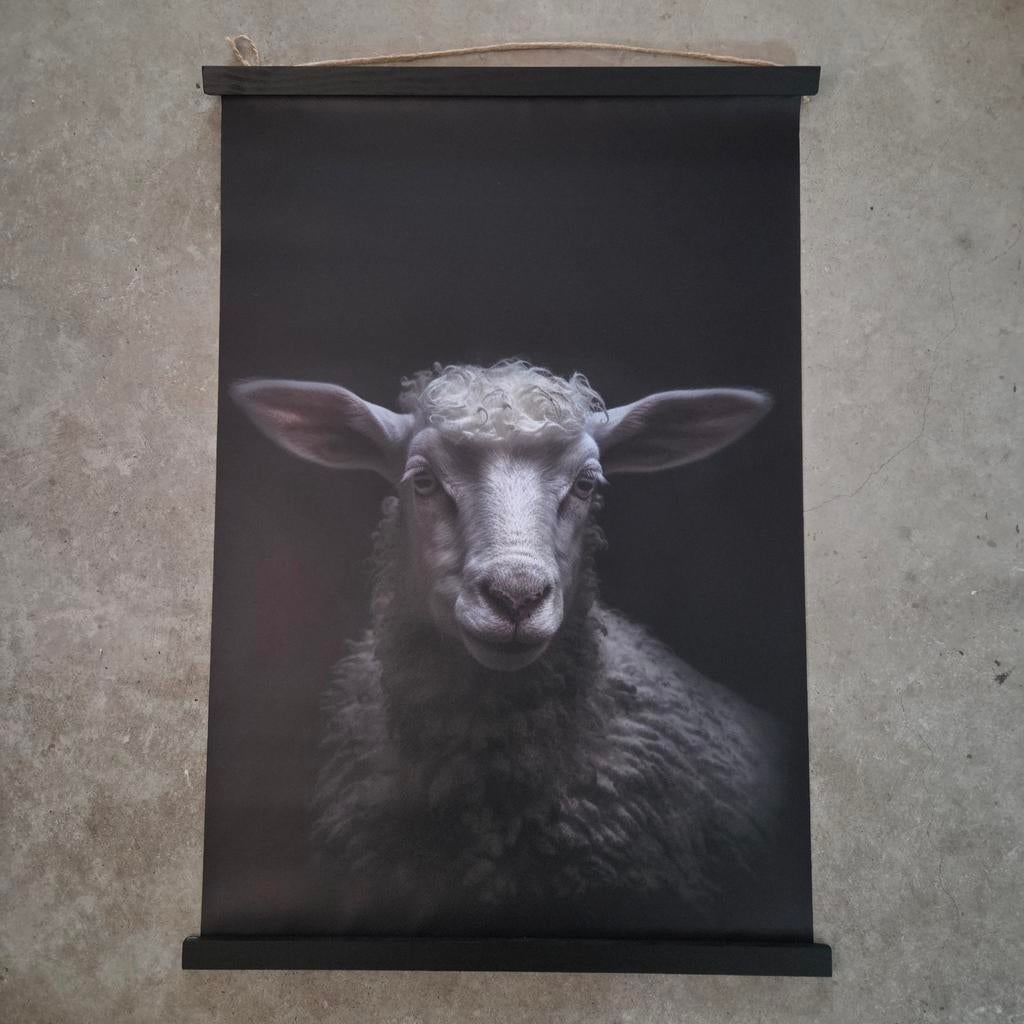 Tuinposter Het Schaap - Sfeervolle Wanddecoratie, Tuin en Terras, Tuinwanddecoratie, Nieuw, Ophalen of Verzenden