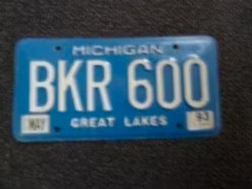 Kentekenplaat licenseplate Michigan Great Lakes 1993 USA, Verzamelen, Automerken, Motoren en Formule 1, Gebruikt, Auto's, Verzenden