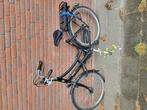 Sparta Marathon Elektrische fiets, Ophalen, Sparta, Gebruikt, 51 tot 55 cm