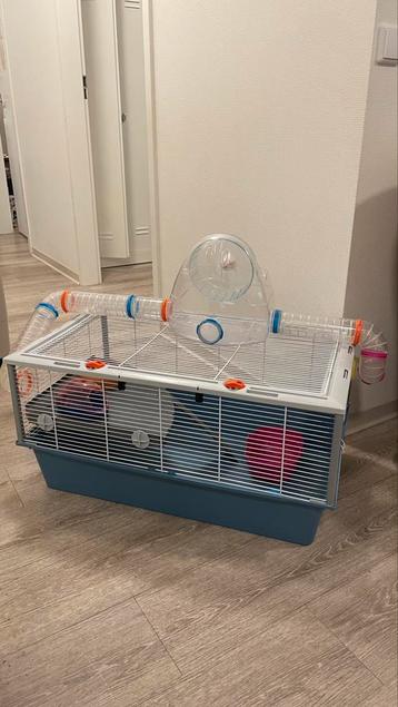 hamster/knaagdierkooi beschikbaar voor biedingen