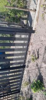 Betonschutting., Tuin en Terras, Tuinhekken en Hekwerk, Ophalen of Verzenden, Gebruikt, Overige materialen