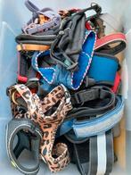 Hondentuigen, NIEUWE VOORRAAD TUIGEN., Ophalen, Zo goed als nieuw