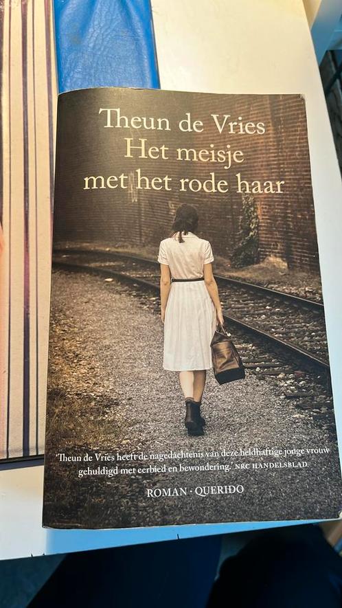 Theun de Vries - Het meisje met het rode haar, Boeken, Literatuur, Zo goed als nieuw, Nederland, Ophalen of Verzenden
