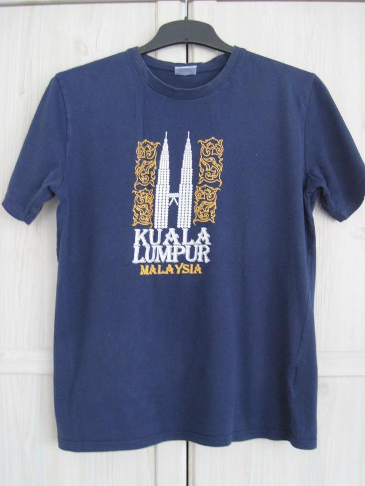 T-shirt mt L, Kleding | Heren, T-shirts, Gedragen, Maat 48/50 (M), Blauw, Ophalen of Verzenden