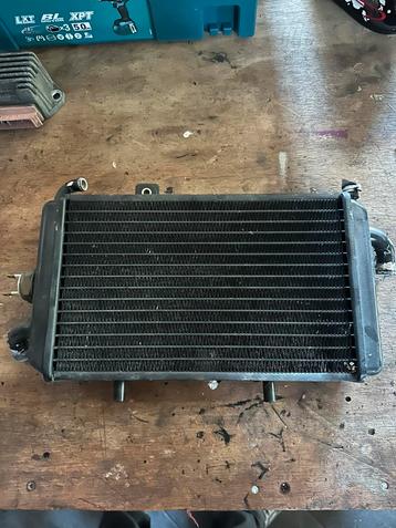 Piaggio Hexagon 125 radiateur beschikbaar voor biedingen