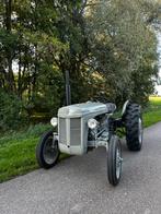 MF Tef bouwjaar 1955 Massey Ferguson oldtimer tractor, Ophalen, Tot 2500, Oldtimer, Tot 80 Pk