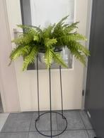 Planten standaard, Ophalen, 40 cm of meer, Binnen, Zo goed als nieuw