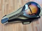 Mandoline Gretsch New Yorker G9320 elec. met en gig bag, Ophalen, Zo goed als nieuw