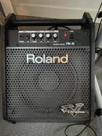 ROLAND PM-10 personal monitor 36W, Ophalen, Gebruikt, Minder dan 50 watt