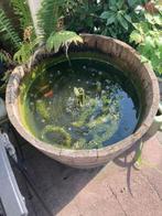 Vijver halve houten ton Zelf schoon maken Hoogte 46 cm Rond, Tuin en Terras, Vijvers, Ophalen, Gebruikt