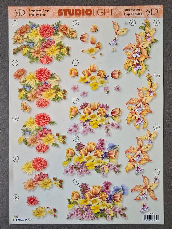 3D Vel met Bloemmotieven - Studio Light, Hobby en Vrije tijd, Kaarten | Zelf maken, Knipvel, Overige thema's, Ophalen of Verzenden