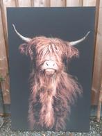 THE WALL Schilderij canvas Schotse Hooglander 150x100 cm, Huis en Inrichting, Ophalen, 75 tot 100 cm, Schilderij, 75 cm of meer