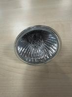 Halogeenlamp | GU5,3 | Spot | Helder | 50mm | 50W | 12V, Huis en Inrichting, 30 tot 60 watt, Halogeen (gloei)lamp, Overige fittingen