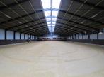 stal te huur incl. grote binnenbak 20x65, Stalling, 1 paard of pony