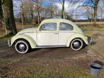 Volkswagen kever 1200 Sedan 1963 Groen/ wit, Auto's, Volkswagen, Achterwielaandrijving, 4 cilinders, 1600 cc, Leder en Stof