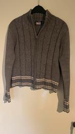 PL Land vest grijs - maat S, Kleding | Dames, Truien en Vesten, Verzenden, Zo goed als nieuw, Maat 38/40 (M), Grijs