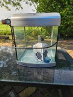 Aquarium, Ophalen of Verzenden, Leeg aquarium