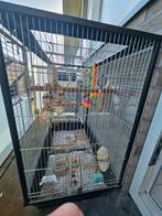 Vogelkooi, Dieren en Toebehoren, Ophalen, Zo goed als nieuw, Kooi-accessoires