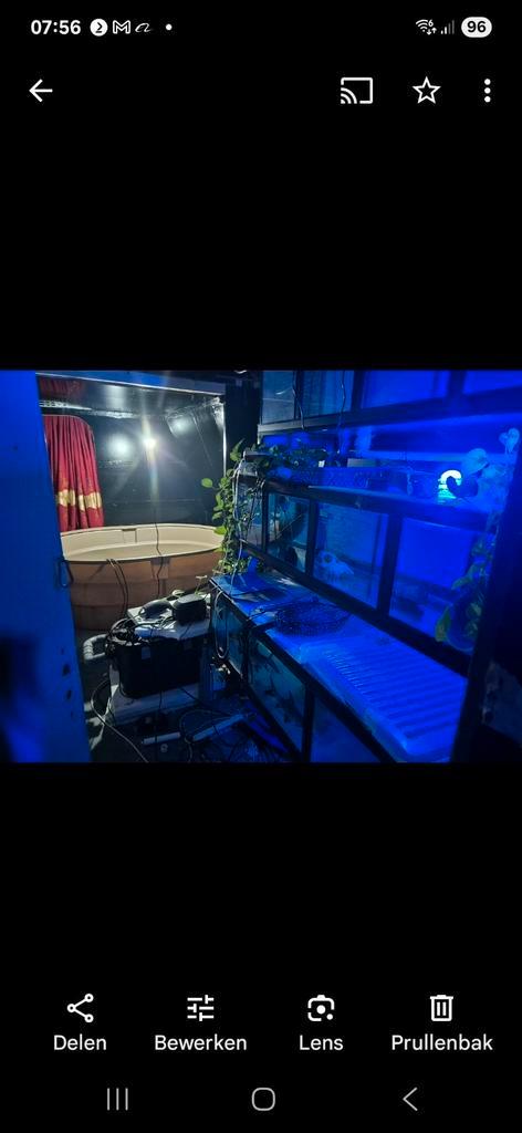 Aqarium hobby te koop GOED  LEZEN, Dieren en Toebehoren, Vissen | Aquaria en Toebehoren, Zo goed als nieuw, Ophalen of Verzenden