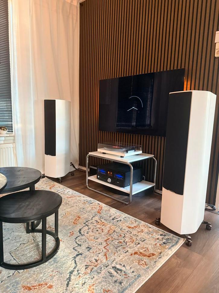 Sonus Faber Sonetto V - Incl. IsoAcoustics Gaia III, Audio, Tv en Foto, Luidsprekers, Zo goed als nieuw, Front, Rear of Stereo speakers