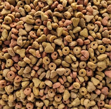 Kattenbrokjes 1KG beschikbaar voor biedingen