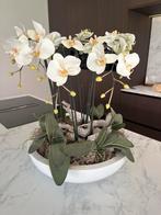 Kunst Orchideeën in Schaal - Woondecoratie, Huis en Inrichting, Ophalen, Nieuw, Binnen