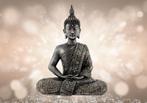 169 Buddha Vlies Fotobehang 350x250cm in 3 maten Nieuw XXL, Ophalen of Verzenden, Nieuw