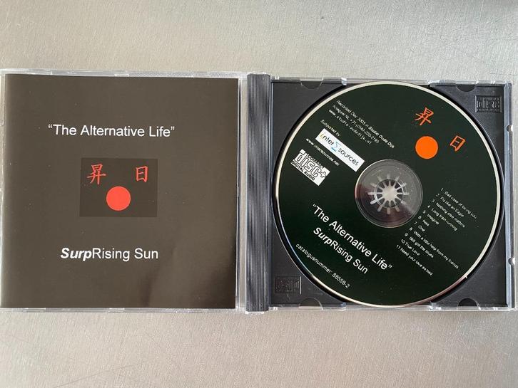 Jan verschueren - the alternative life - surprising sun cd, Cd's en Dvd's, Cd's | Rock, Zo goed als nieuw, Alternative, Verzenden