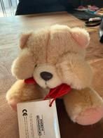 Forever friends beertje zien, Verzamelen, Ophalen of Verzenden, Zo goed als nieuw, Stoffen beer, Forever Friends
