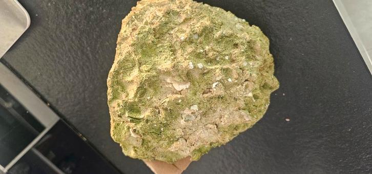 Delta Rock tunze zeewater aquarium, Dieren en Toebehoren, Vissen | Aquaria en Toebehoren, Gebruikt, Plant(en), Steen of Hout, Ophalen