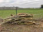 Te koop wilgen stammen gezaagd, Minder dan 3 m³, Ophalen of Verzenden