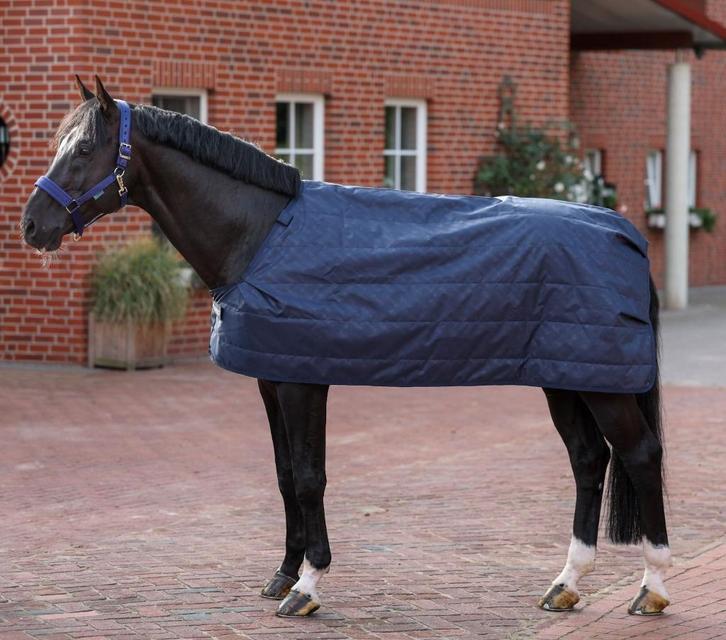 Bucas Liner 100gr. onderdeken, maat 168, 175, 198, 206, 213, Dieren en Toebehoren, Paarden en Pony's | Dekens en Dekjes, Nieuw