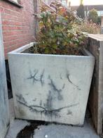 Gratis 2 potten ophalen, Ophalen, Overige materialen, Gebruikt, Minder dan 5 m²