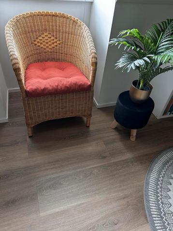 2 Rieten stoelen Nieuwstaat, prijs per stuk