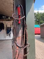 Bitloos hoofdstel full, Dieren en Toebehoren, Paarden en Pony's | Hoofdstellen en Tuigage, Ophalen of Verzenden, Nieuw