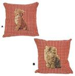 Kussen met kitten, kat, poesje in 2 soorten verkrijgbaar, Verzenden, Nieuw, Vierkant