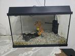 Aquarium met toebehoren  inhoud 45 liter, Ophalen, Zo goed als nieuw, Gevuld zoetwateraquarium