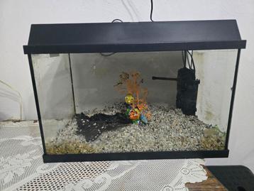 Aquarium met toebehoren  inhoud 45 liter  beschikbaar voor biedingen
