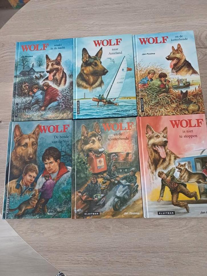 Wolf boeken  / 6 stuks, Boeken, Kinderboeken | Jeugd | 10 tot 12 jaar, Ophalen of Verzenden