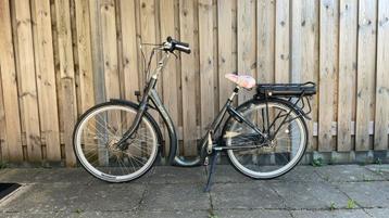 Stella Nantes (met lage instap) beschikbaar voor biedingen