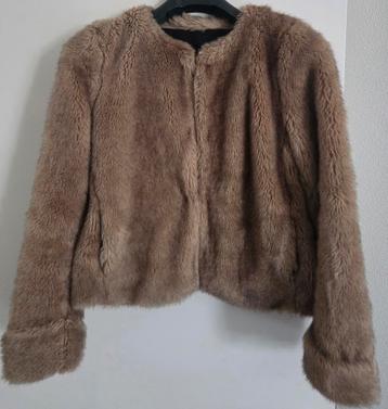 Jasje in nieuwstaat van TRF_ Outerwear in maat: S beschikbaar voor biedingen