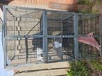 Ferret nation 3 hoog, Ophalen, Gebruikt, Rat, 90 cm of meer