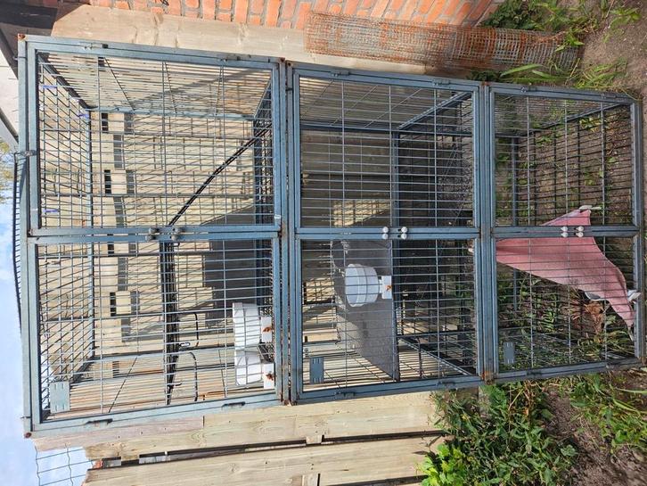 Ferret nation 3 hoog, Dieren en Toebehoren, Knaagdieren en Konijnen | Hokken en Kooien, Gebruikt, Hok, 90 cm of meer, 75 tot 110 cm