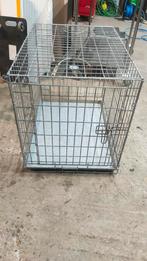 Bench honden puppies katten kitten, Ophalen of Verzenden