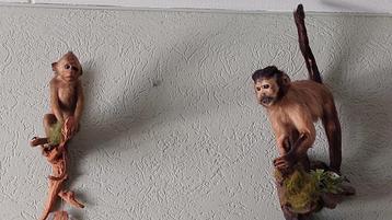 taxidermie opgezette aapjes antiek  beschikbaar voor biedingen
