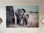 Aluminium schilderij Elephant mother with calf 180 x 120, Schilderij, 125 cm of meer, Zo goed als nieuw, Ophalen