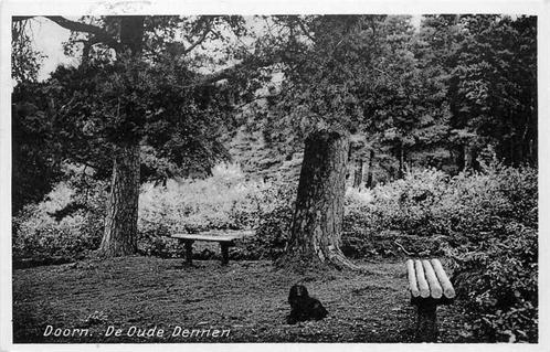 (377-512-029) Doorn De Oude Dennen, Verzamelen, Ansichtkaarten | Nederland, Utrecht, Verzenden