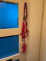 Halster en touw XTRA FULL, Ophalen of Verzenden, Nieuw, Overige soorten