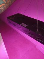 Grote kweeklamp, Ophalen of Verzenden, Kweeklamp