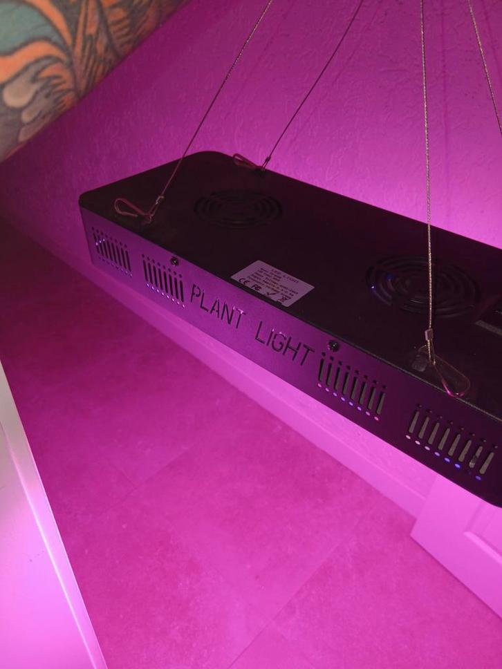 Grote kweeklamp, Tuin en Terras, Kweekspullen, Kweeklamp, Ophalen of Verzenden